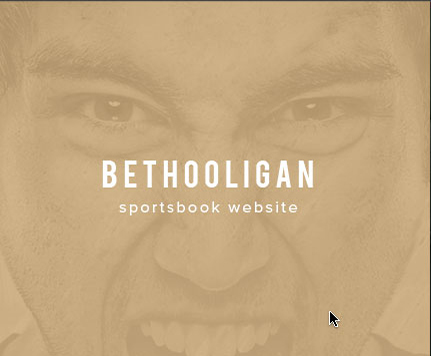 AGS Latest Projects Bethooligan Website